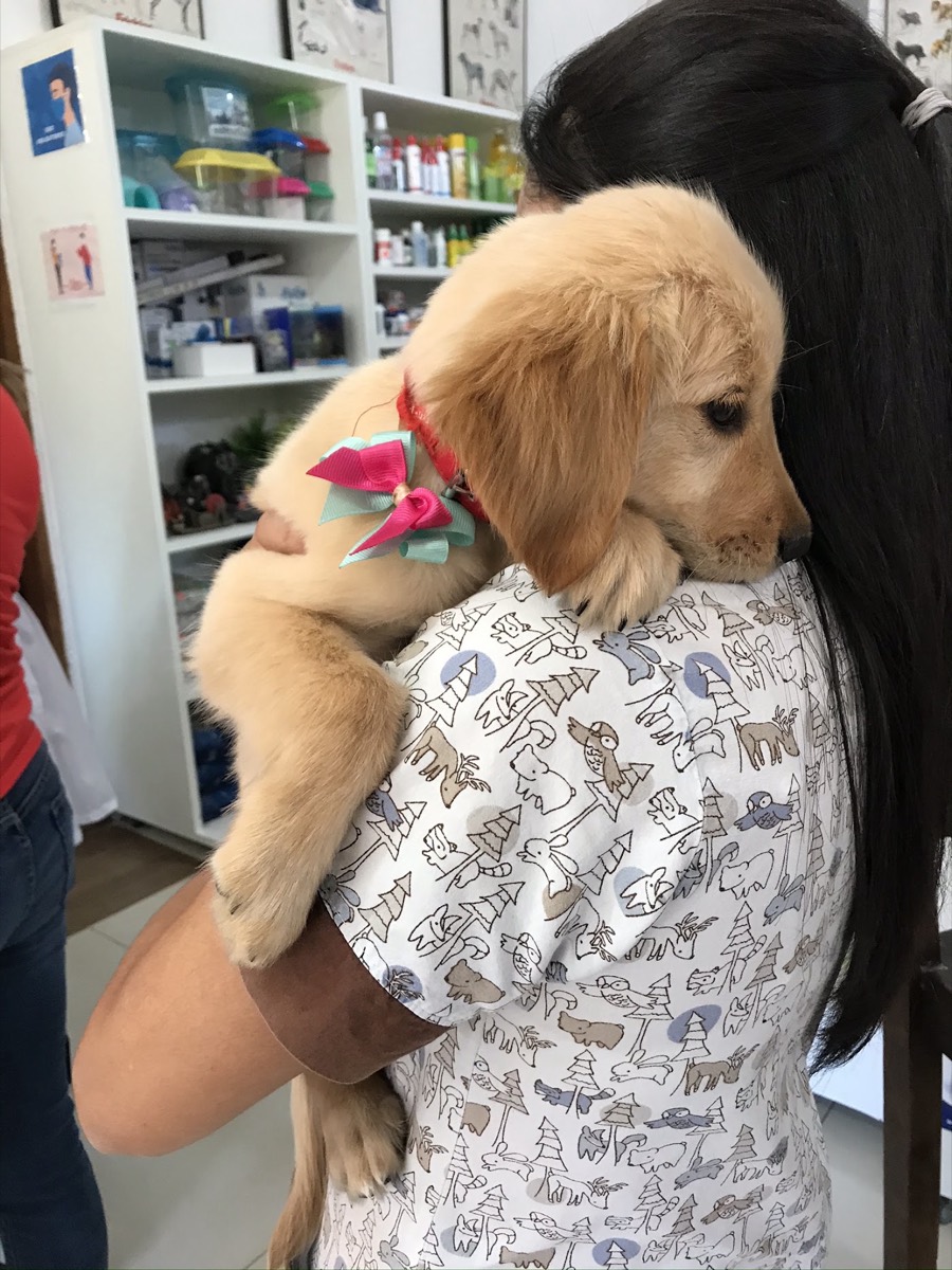 Una integrante del equipo sostiene a un cachorro golden en la tienda